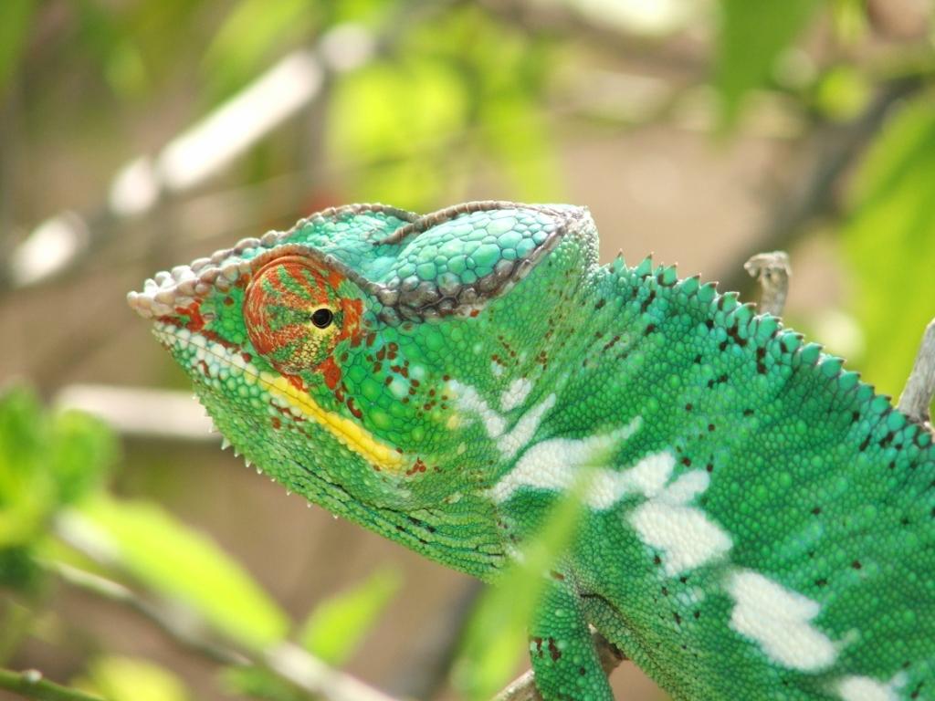 Nosy b, piccola isola del Madagascar